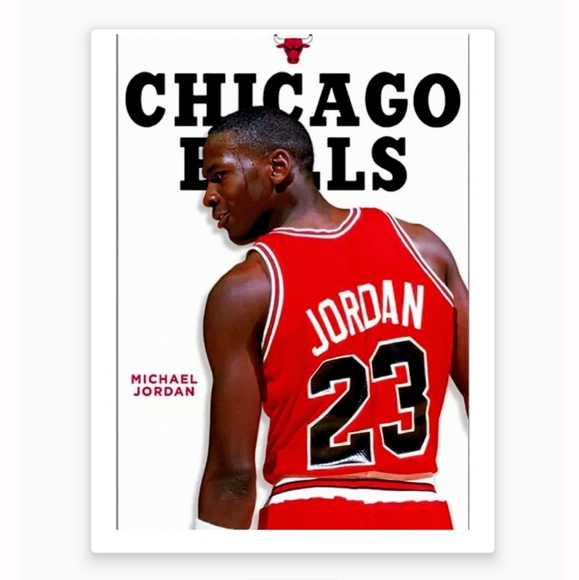 MICHAEL JORDAN SIGNATURE ENGRAVED BULLS MEMORABILIA RETIREMENT COIN&COA &POSTERS - Picture 16 of 17